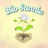 Logo for the brand Bio Sannie USA